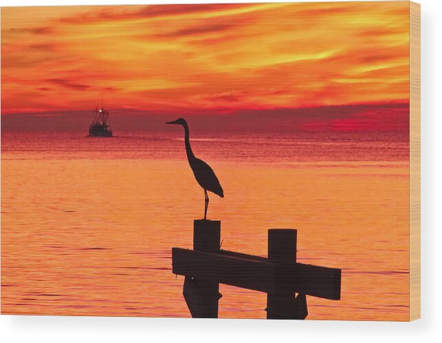 Dawn Wood Print featuring the photograph Watching the Dawn by Brian Wright