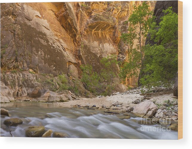 Zion Wood Print featuring the photograph Water in the Narrows by Bryan Keil