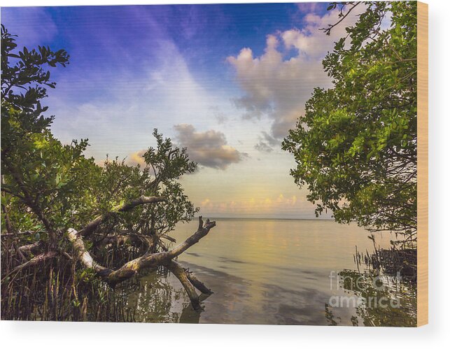 Tampa Bay Wood Print featuring the photograph Water Sky by Marvin Spates