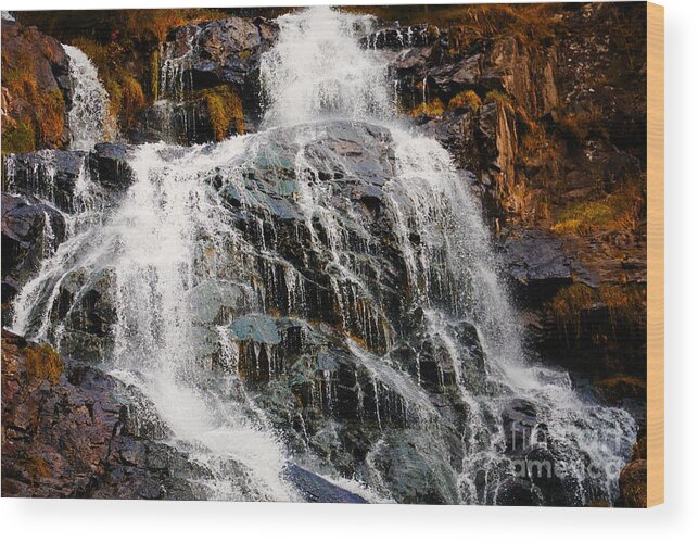 Waterfall Wood Print featuring the photograph Waterfall and rocks by Nick Biemans