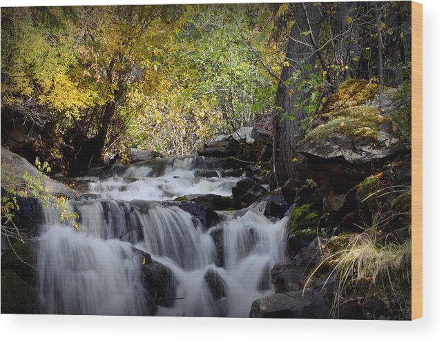 Waterfall Wood Print featuring the photograph Waterfall at Indian Rock BC by Guy Hoffman