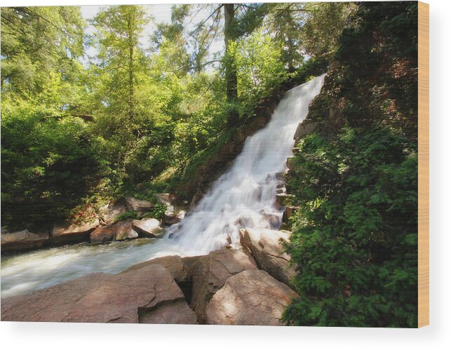 Waterfalls Wood Print featuring the photograph Waterfall at Longwood Gardens by Trina Ansel