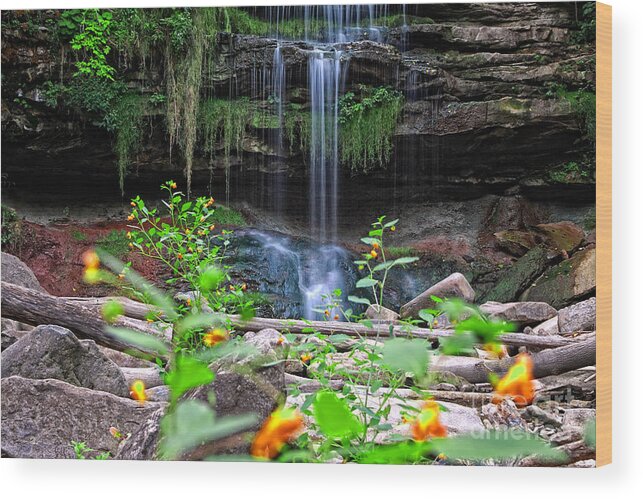 Waterfall Wood Print featuring the photograph Waterfall behind Jewelweed by Charline Xia