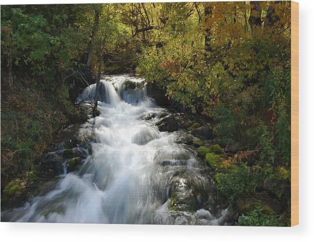 Waterfall Wood Print featuring the photograph Waterfall on the Little Spearfish IV by Greni Graph