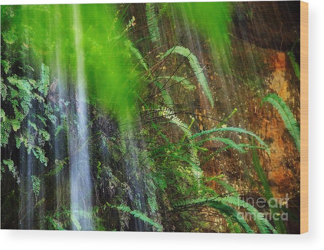 Photography Wood Print featuring the photograph Waterfall over Ferns by Kaye Menner