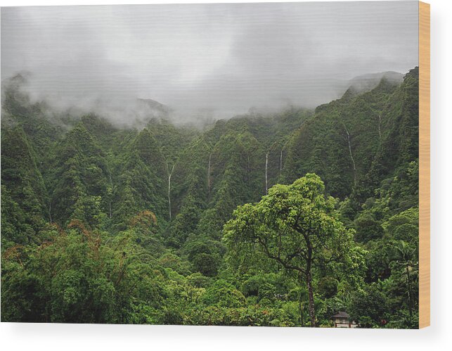 Scenics Wood Print featuring the photograph Waterfalls Flow by Julie Thurston