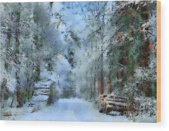 Winter Wood Print featuring the digital art Way through the Forest by Gina Koch