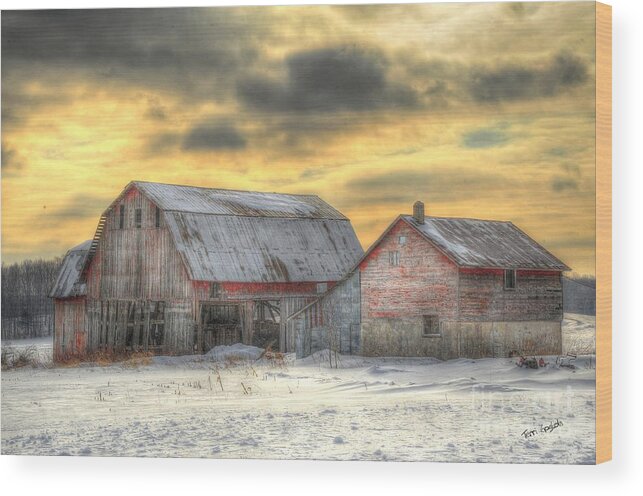 Barn Wood Print featuring the photograph Weathered by Terri Gostola