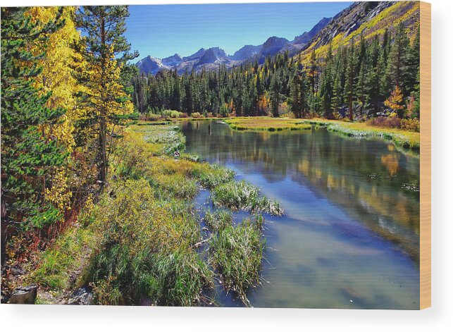 Aspen Trees Wood Print featuring the photograph Weir Pond by Scott McGuire