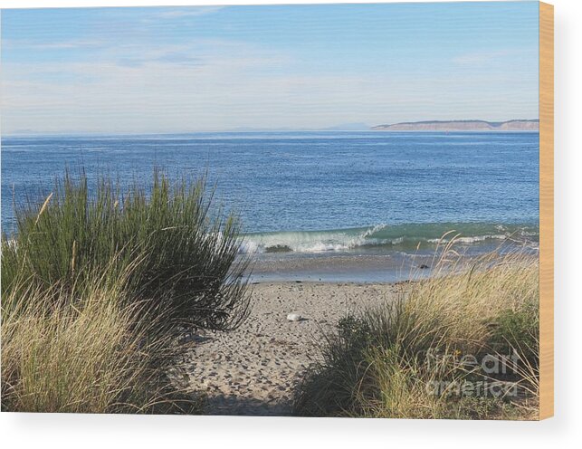 Admiralty Inlet Wood Print featuring the photograph Welcoming Wave by Gayle Swigart