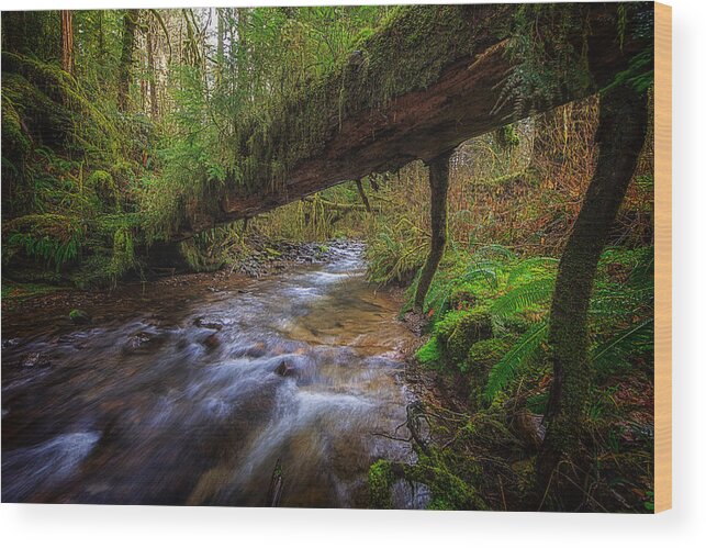 Oregon Wood Print featuring the photograph West Humbug Creek by Everet Regal