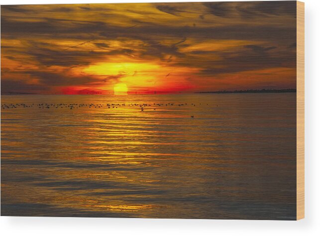 Sunset Wood Print featuring the photograph West Sayville Sunset by Cathy Kovarik