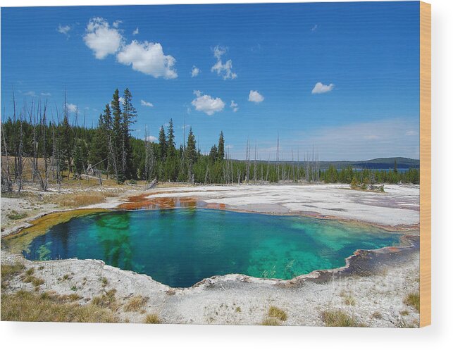 Yellowstone National Park Wood Print featuring the photograph West Thumb Abyss Pool by Debra Thompson