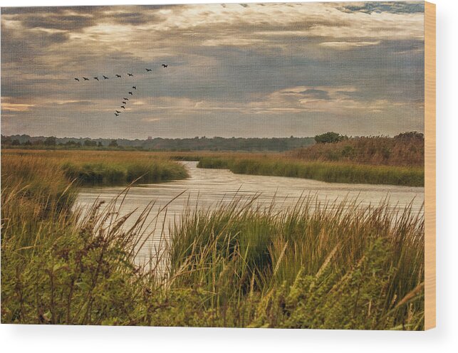 Marsh Wood Print featuring the photograph Wetlands in September by Cathy Kovarik