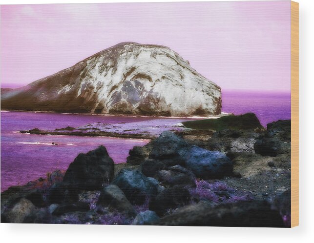 Purple Wood Print featuring the photograph Whale in Purple Waters by Amanda Eberly
