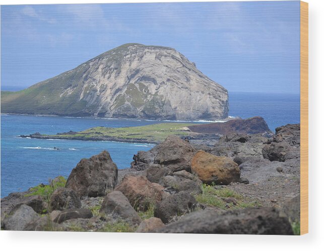Whale Wood Print featuring the photograph Whale Rock Formation by Amanda Eberly