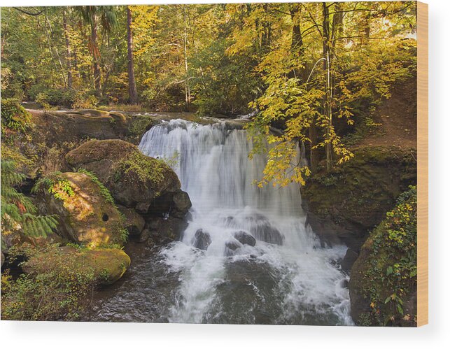 A. Circinatum Wood Print featuring the photograph Whatcom Falls by Michael Russell