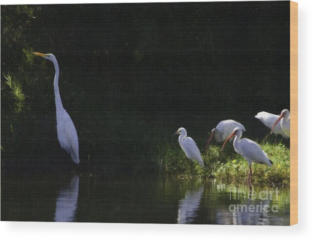 Alligator Wood Print featuring the photograph What's for Lunch by Dale Powell