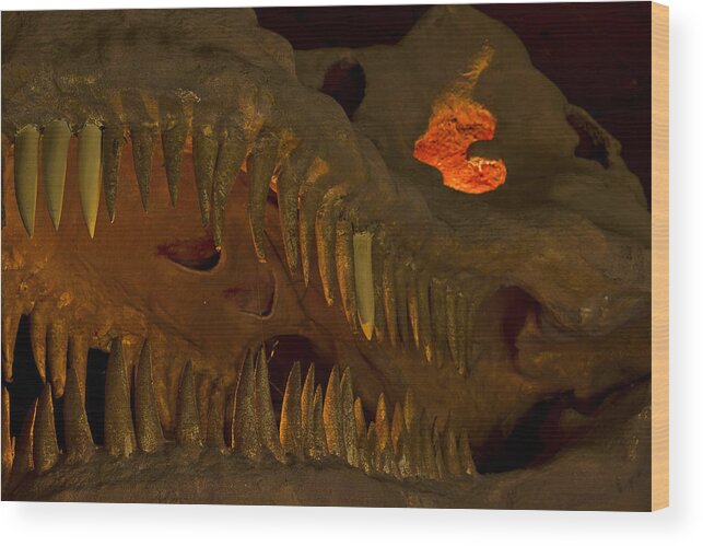 Grand Canyon Caverns Wood Print featuring the photograph What's To Eat? by Kenan Sipilovic