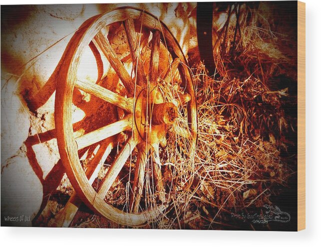 Wheelsofold Wood Print featuring the photograph WheelsOfOld 001 by Guy Hoffman