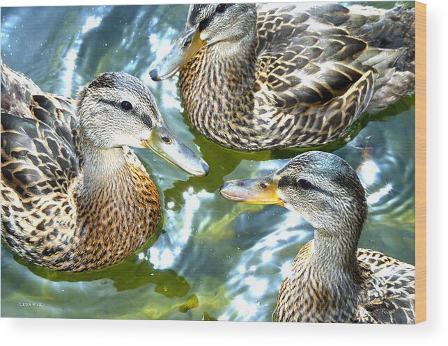 Brown Ducks Wood Print featuring the photograph When Duck Bills Meet by Lesa Fine