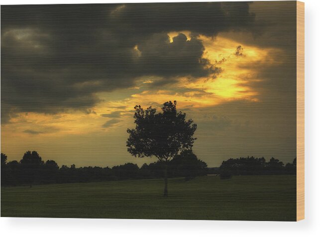 Sunset Wood Print featuring the photograph When The Day Is Over by Ester McGuire