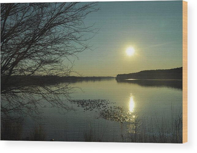 Popular Wood Print featuring the photograph Where The Wild Ducks Play At Eventide by Paulette B Wright