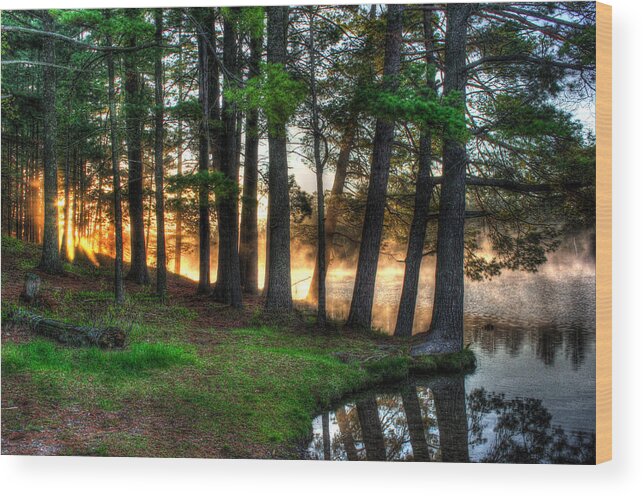 Forest Wood Print featuring the photograph Whispering Pines 2 by Brook Burling