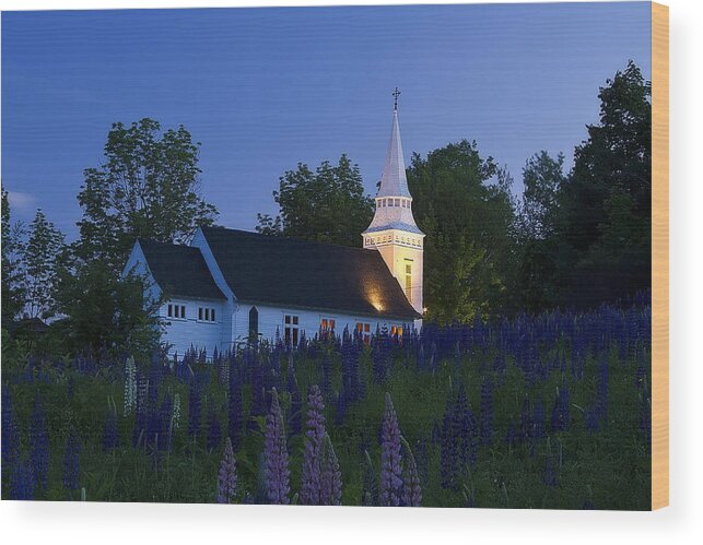 Landscape Wood Print featuring the photograph White Church at Dusk in a Field of Lupines by John Vose