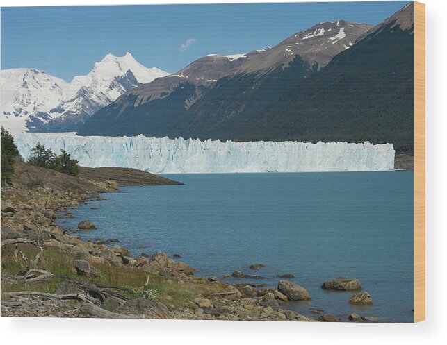 Patagonia Wood Print featuring the photograph White Glacier by Richard Gehlbach