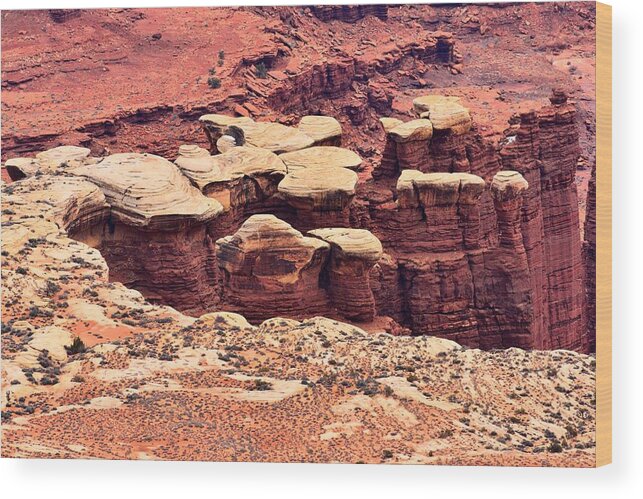 Canyonlands National Park White Rim Wood Print featuring the photograph White Rim Detail by Walt Sterneman
