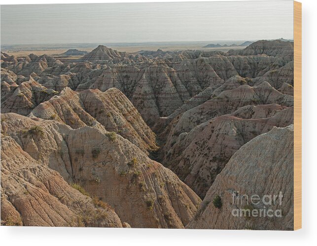 Afternoon Wood Print featuring the photograph White River Valley Overlook Badlands National Park by Fred Stearns
