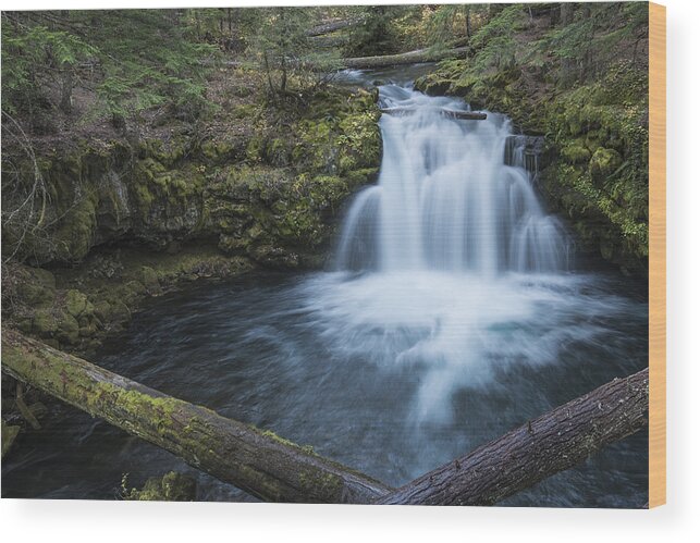 Loree Johnson Wood Print featuring the photograph Whitehorse Falls Evening by Loree Johnson