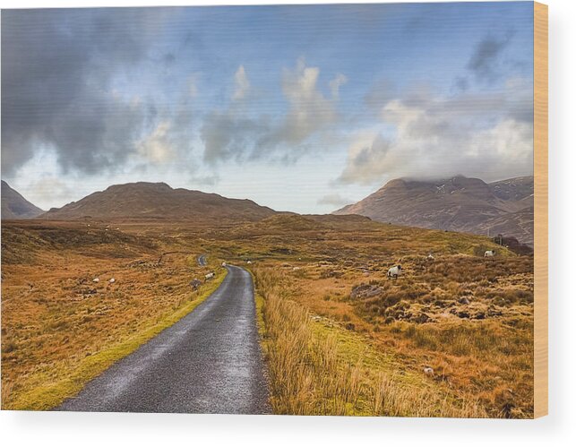 Galway Wood Print featuring the photograph Wild Landscape of Connemara Ireland by Mark Tisdale