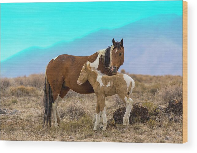 Horse Wood Print featuring the photograph Wild Mustang Horses In The West Desert by Don Cook