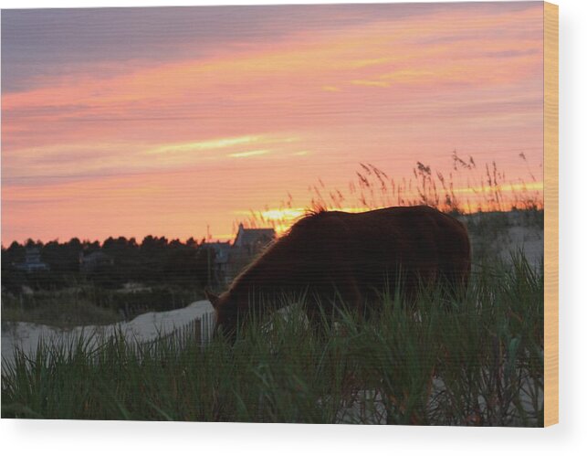 Wild Spanish Mustang Wood Print featuring the photograph Wild Silhouette at Sunset by Kim Galluzzo
