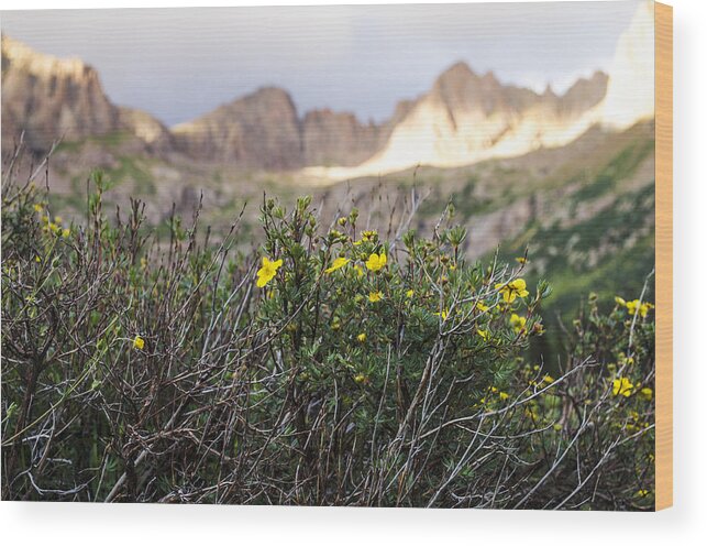 Wildflowers Wood Print featuring the photograph Wildflowers by Aaron Spong