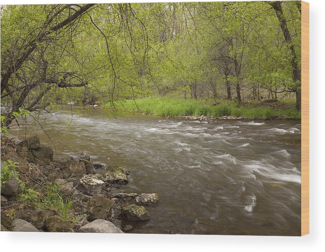 Willow Wood Print featuring the photograph Willow River 3 by John Brueske