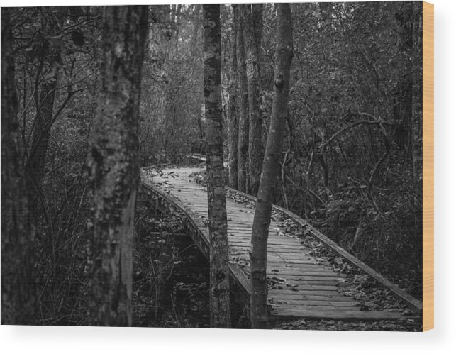 Black And White Bridge Wood Print featuring the photograph Winding Bridge in the Woods by Kirkodd Photography Of New England