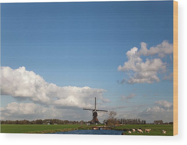 Scenics Wood Print featuring the photograph Windmill In Dutch Polder by Roel Meijer