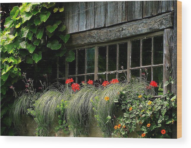 Window Boxes Wood Print featuring the photograph Window Boxes by Jeff Heimlich