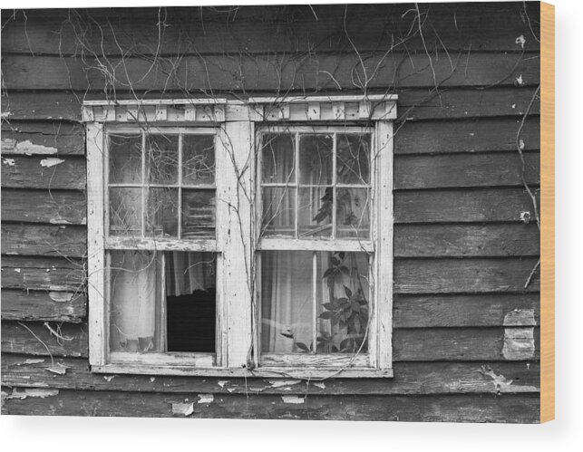 Johns Island Wood Print featuring the photograph Window Dressing by Patricia Schaefer