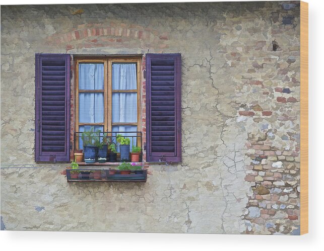 Brick Wood Print featuring the photograph Window with Potted Plants of Rural Tuscany by David Letts