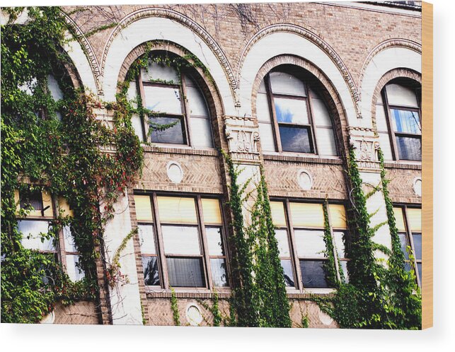 Windows Wood Print featuring the photograph Windows by Melissa Newcomb