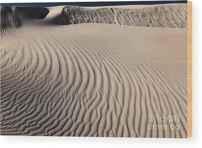Guadalupe Mountains National Park Wood Print featuring the photograph Windswept In The Salt Basin by Adam Jewell