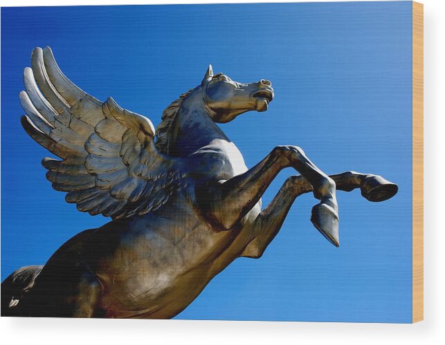 Horse Wood Print featuring the photograph Winged Wonder II by Norma Brock