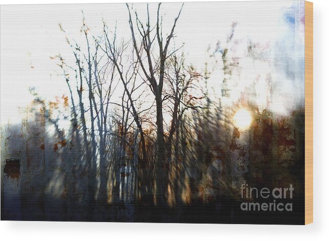 Winter Wood Print featuring the photograph Winter Abstract by Mary Underwood