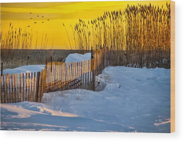 Beach Wood Print featuring the photograph Winter Afternoon by Cathy Kovarik