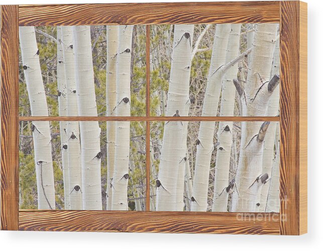 Trees Wood Print featuring the photograph Winter Aspen Tree Forest Barn Wood Picture Window Frame View by James BO Insogna