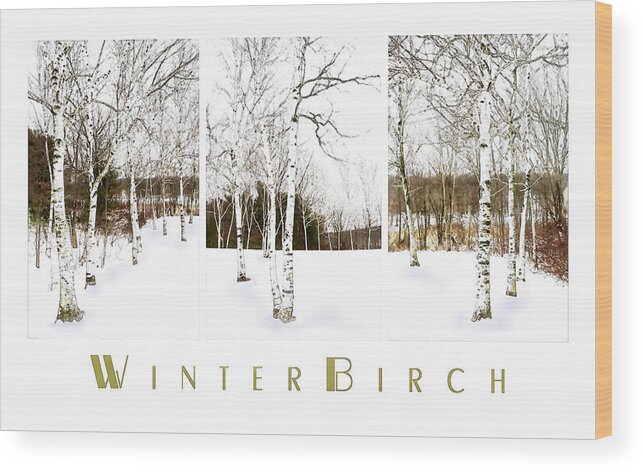 Birch Tree Wood Print featuring the photograph Winter Birch by Robin-Lee Vieira